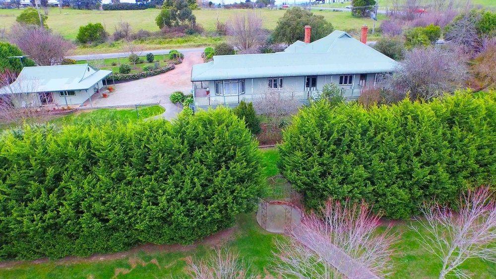 Bed and Breakfast Wild Cattle Creek Estate Wandin Yallock Exteriér fotografie