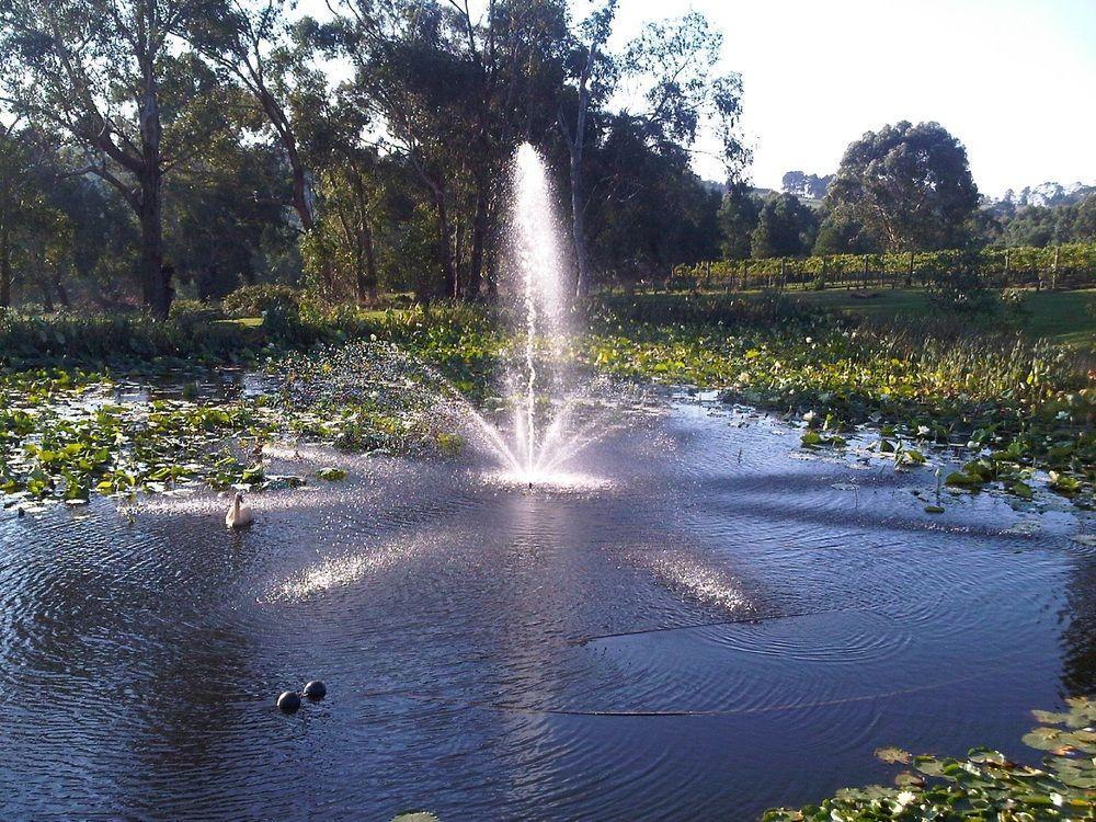 Bed and Breakfast Wild Cattle Creek Estate Wandin Yallock Exteriér fotografie